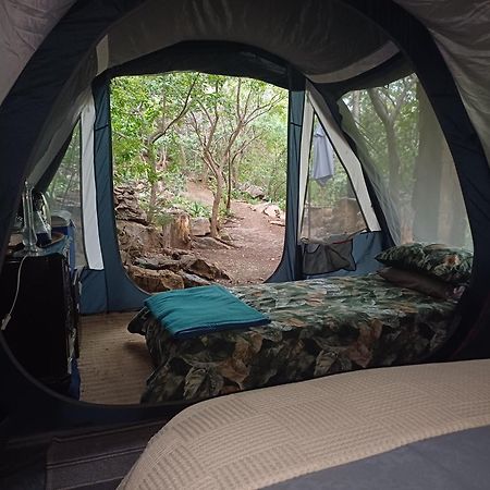 Adorable Unique Guest House - African Bush Feel Kalkheuvel Εξωτερικό φωτογραφία