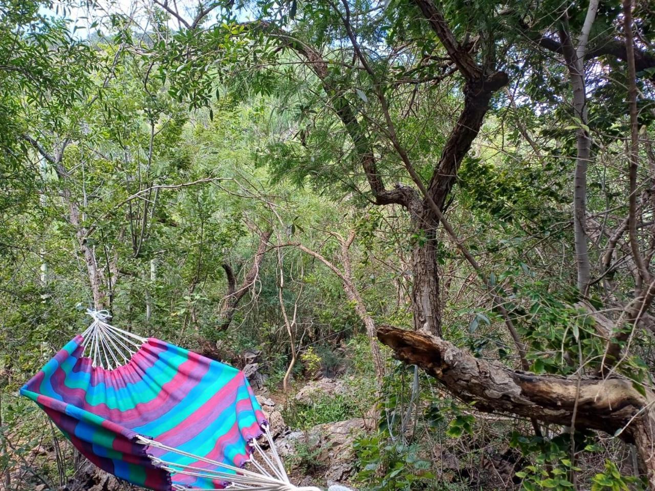 Adorable Unique Guest House - African Bush Feel Kalkheuvel Εξωτερικό φωτογραφία